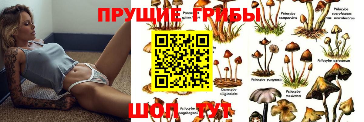 Надым  Галлюциногенные грибы Psilocybe  цены наркотик  Вход с VPN 